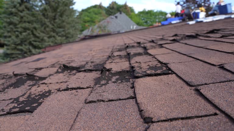 Best Emergency Roof Repair Services  in Richfield, OH